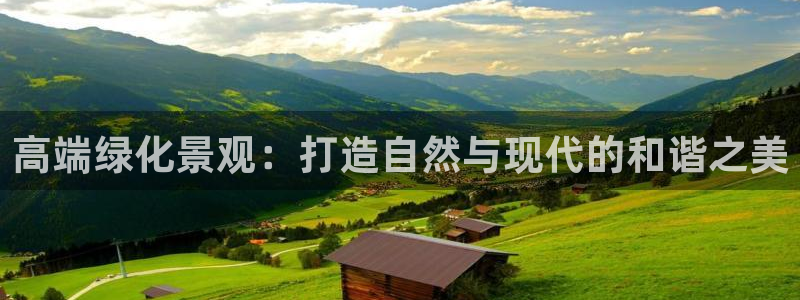 新宝gg奖金