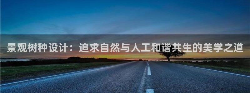 新宝gg主管48527