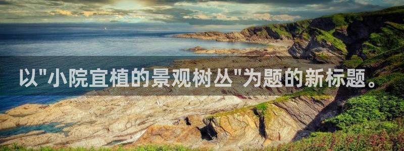 新宝gg挂机软件下载