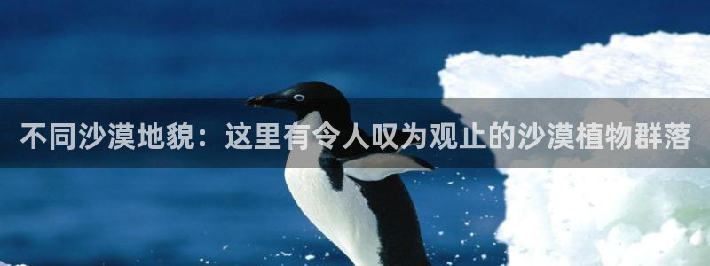 新宝gg指定平台：不同沙漠地貌：这里有令人叹为观止的沙漠植物群落