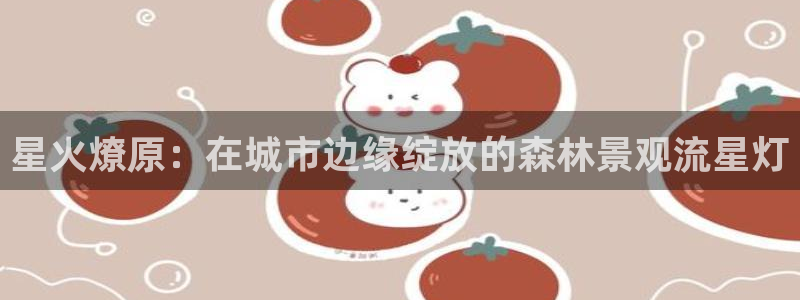 新宝GG无法充值