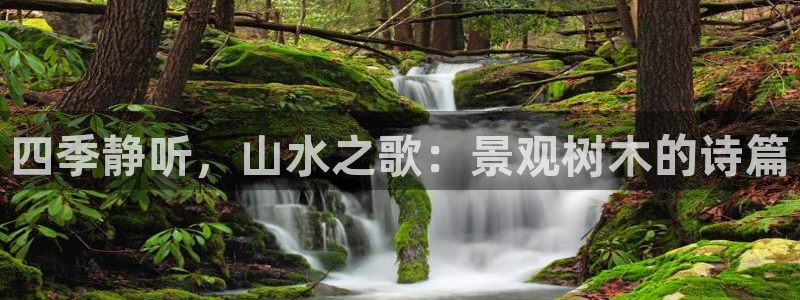 新宝gg搜740005：四季静听，山水之歌：景观树木的诗篇