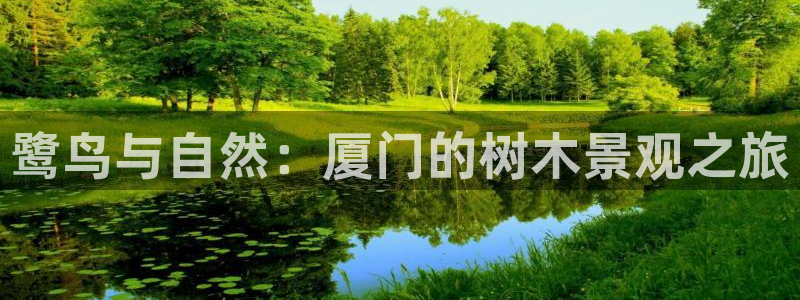 新宝gg欢迎：鹭鸟与自然：厦门的树木景观之旅