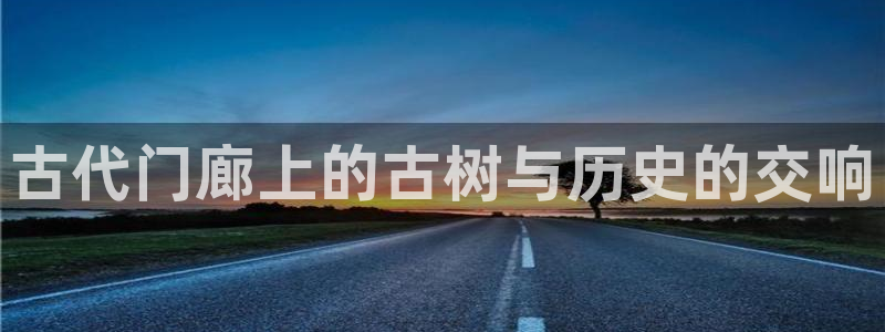 新宝娱gg：古代门廊上的古树与历史的交响