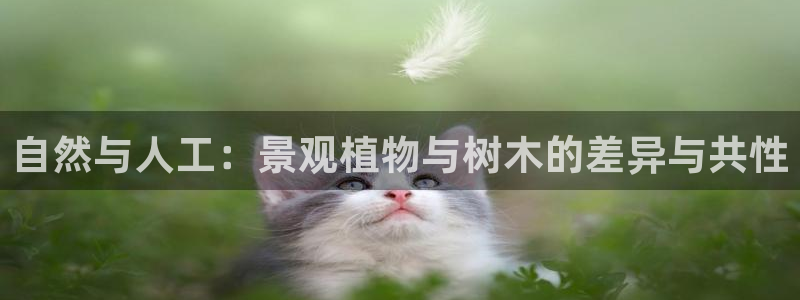 新宝5和新宝gg：自然与人工：景观植物与树木的差异与共性