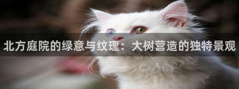 新宝GG娱乐下载
