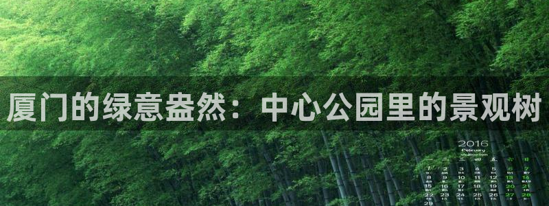新宝gg玩