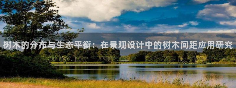 新宝gg漏洞
